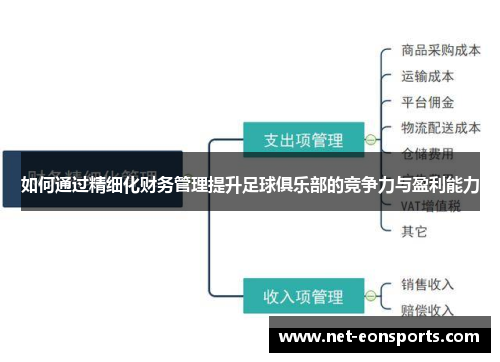 如何通过精细化财务管理提升足球俱乐部的竞争力与盈利能力