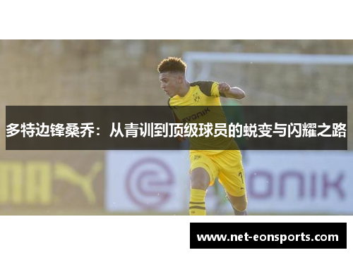 多特边锋桑乔：从青训到顶级球员的蜕变与闪耀之路
