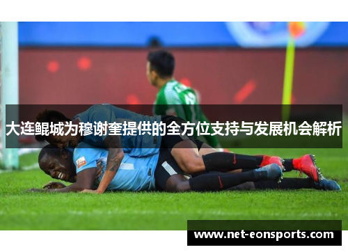 大连鲲城为穆谢奎提供的全方位支持与发展机会解析