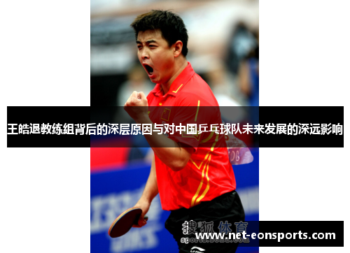 王皓退教练组背后的深层原因与对中国乒乓球队未来发展的深远影响