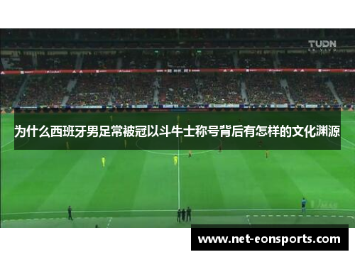 为什么西班牙男足常被冠以斗牛士称号背后有怎样的文化渊源