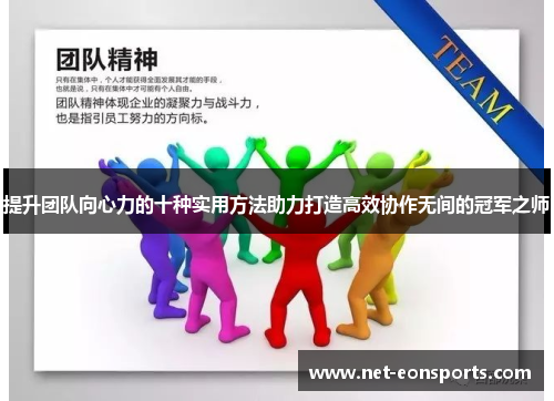 提升团队向心力的十种实用方法助力打造高效协作无间的冠军之师