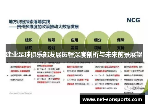 建业足球俱乐部发展历程深度剖析与未来前景展望