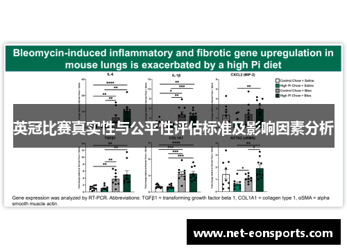 英冠比赛真实性与公平性评估标准及影响因素分析 英冠比赛真实性与公平性评估标准及影响因素分析